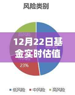 揭秘，12月22日基金实时估值的每日盈亏背后的金融奥秘与故事揭秘