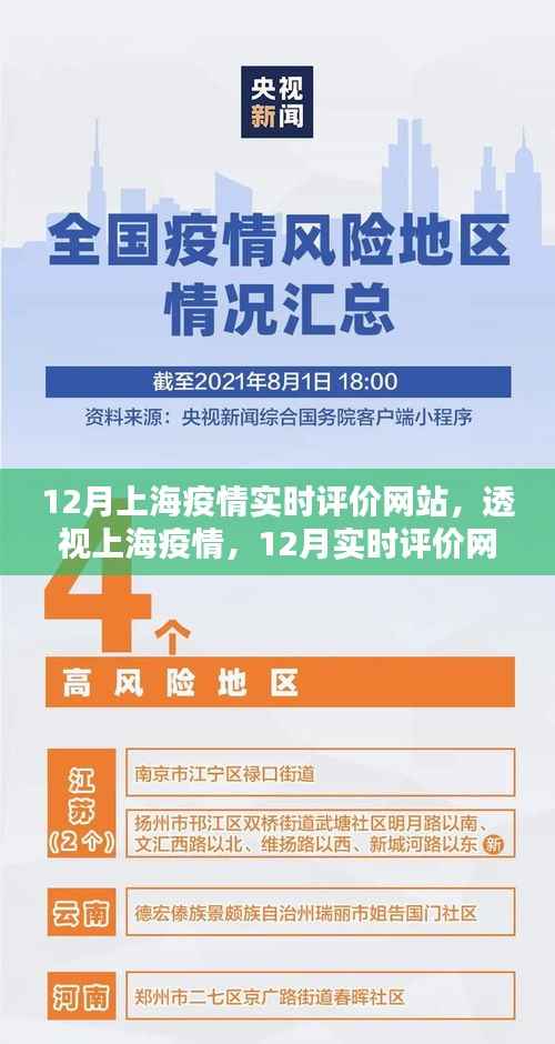 上海疫情深度解析，实时评价网站透视十二月疫情状况