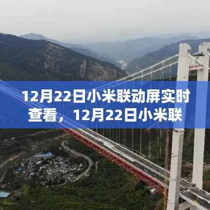 小米联动屏开启实时查看新纪元，智能科技的新里程碑