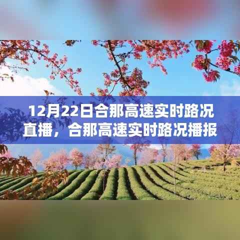 冬至日合那高速实时路况直播,掌握最新路况信息,一路畅行播报