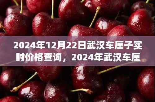 2024年武汉车厘子盛宴,实时价格查询与市场洞察