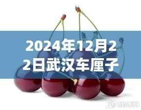 2024年武汉车厘子盛宴,实时价格查询与市场洞察