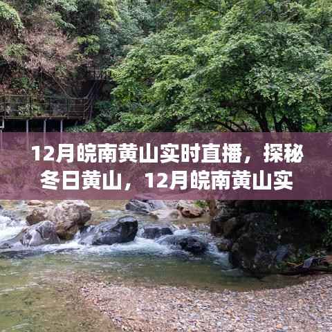 探秘冬日黄山,实时风光直播之旅,领略黄山之美