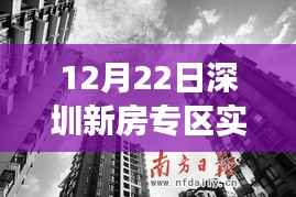 12月22日深圳新房市场深度观察，实时交易网最新动态解析与购房建议