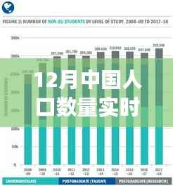 揭秘中国人口数据,12月实时人口数量权威解读及查询官网