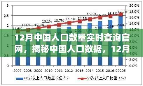 揭秘中国人口数据,12月实时人口数量权威解读及查询官网
