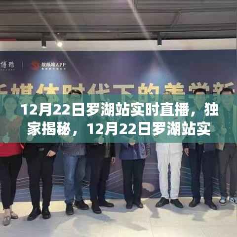 独家揭秘，揭秘12月22日罗湖站实时直播背后的故事