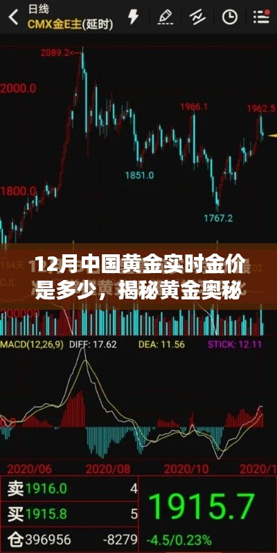 揭秘黄金奥秘，十二月中国黄金实时金价波动之谜