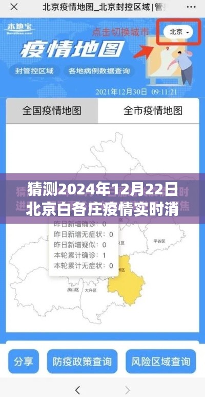 揭秘未来,白各庄疫情在冬至2024的最新动态与实时消息洞察
