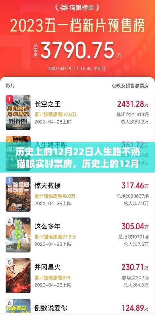 历史上的12月22日，揭秘人生路不熟猫眼实时票房之旅