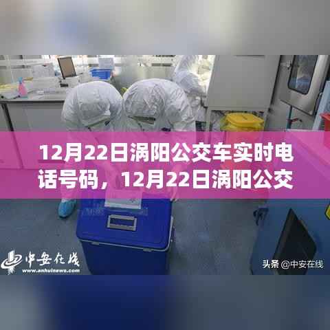 12月22日涡阳公交车实时电话号码及出行指南