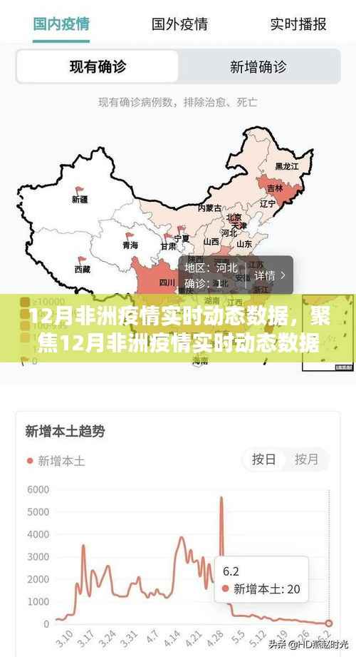 12月非洲疫情实时动态数据解析,挑战与应对策略聚焦