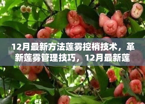 揭秘革新莲雾管理技巧，12月最新莲雾控梢技术分享