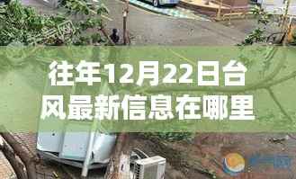 往年12月22日台风最新动态，一站式查询平台助你实时掌握台风信息