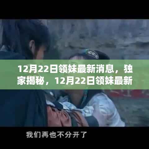独家揭秘，12月22日领妹最新动态与惊喜揭晓，最新消息一网打尽