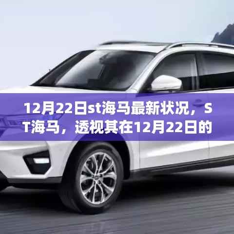 ST海马最新经营状况及未来展望，透视其在12月22日的最新动态与前景展望