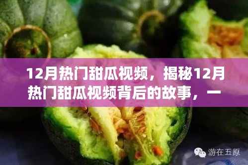 揭秘热门甜瓜视频背后的故事,甜蜜视觉盛宴的十二月回顾