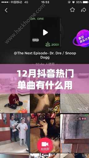 凤凰于飞 第6页