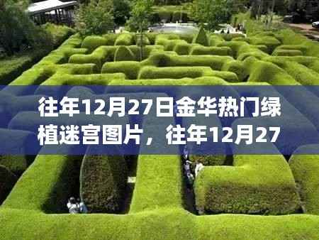 往年12月27日金华热门绿植迷宫探秘，迷宫中的绿色童话世界之旅
