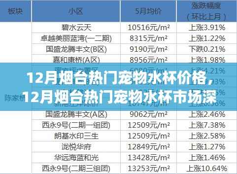 烟台宠物水杯市场深度解析,价格走势与选购指南(十二月版)