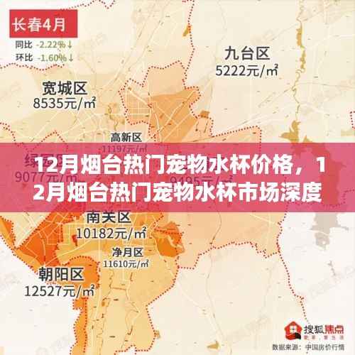 烟台宠物水杯市场深度解析,价格走势与选购指南(十二月版)