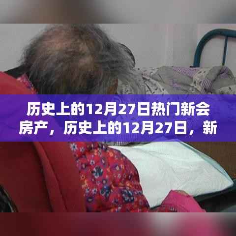 历史上的新会房产瞩目时刻，回顾十二月二十七日的瞩目时刻