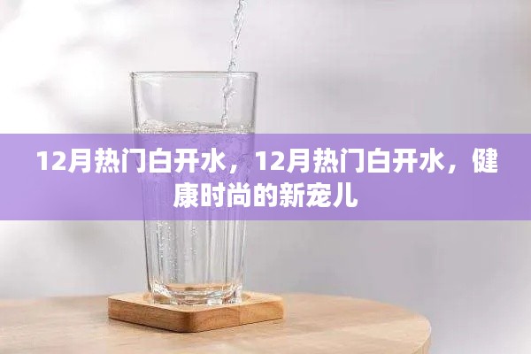 健康时尚新宠儿,12月热门白开水