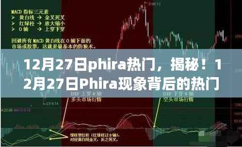 揭秘,Phira现象背后的热门秘密(12月27日)