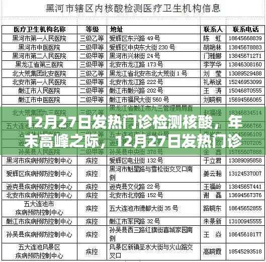 年末高峰发热门诊核酸检测深度解析，12月27日检测实录与解析