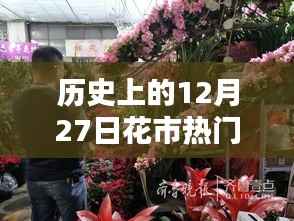 半新不旧 第5页