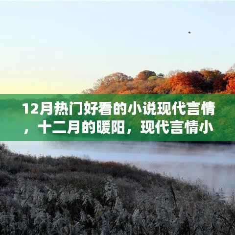 十二月热门现代言情小说,暖阳下的璀璨世界