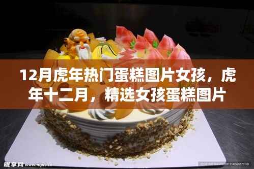时尚与经典的融合，虎年十二月精选女孩蛋糕图片大赏