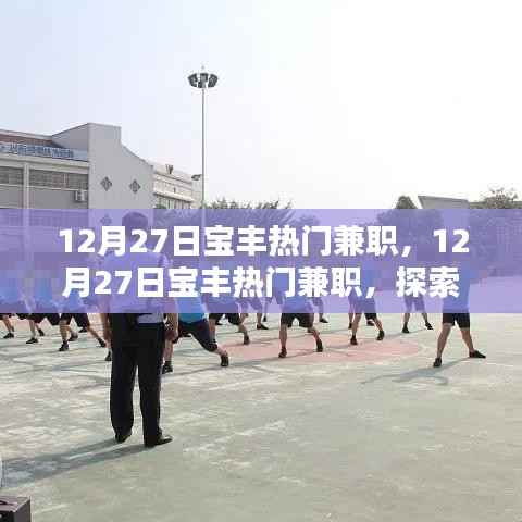 12月27日宝丰热门兼职，开启财富之路，探索最新兼职机会