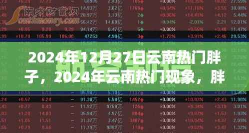 云南热门现象,胖子健康之旅与影响力崛起