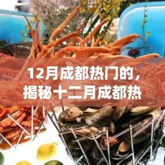 揭秘十二月成都的魅力，活动狂欢与美食盛宴的双重盛宴