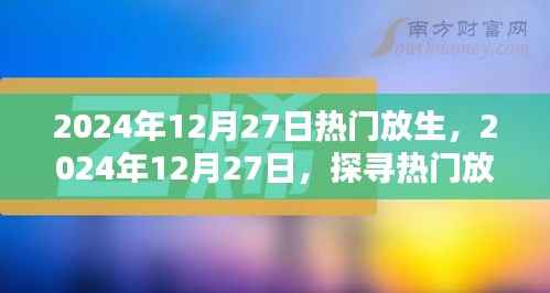 探寻热门放生新风尚，共筑生态和谐新篇章（2024年12月27日）