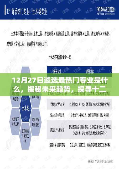 揭秘未来趋势，十二月二十七日最热门专业选择风向标解析