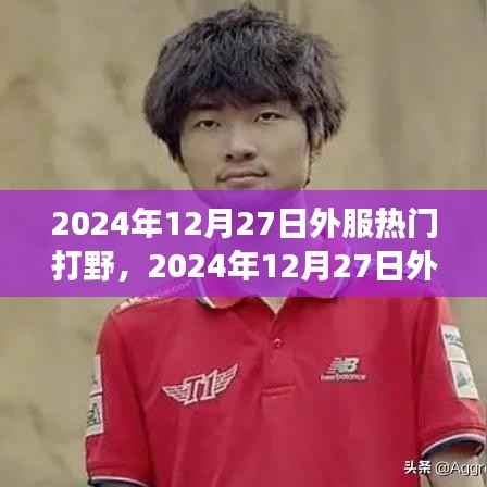 外服热门打野英雄深度解析，揭秘2024年12月27日打野英雄排行榜