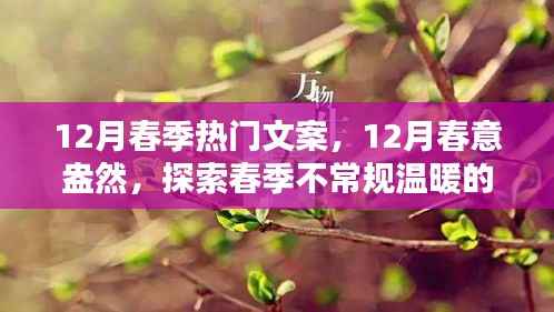 铺张浪费 第5页