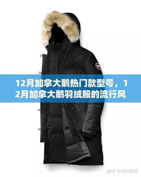 探寻加拿大鹅羽绒服热门款魅力,12月流行风潮来袭