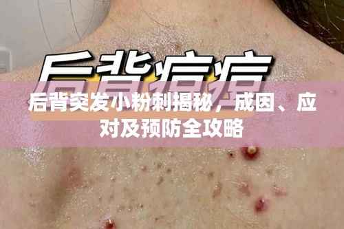 后背突发小粉刺揭秘，成因、应对及预防全攻略