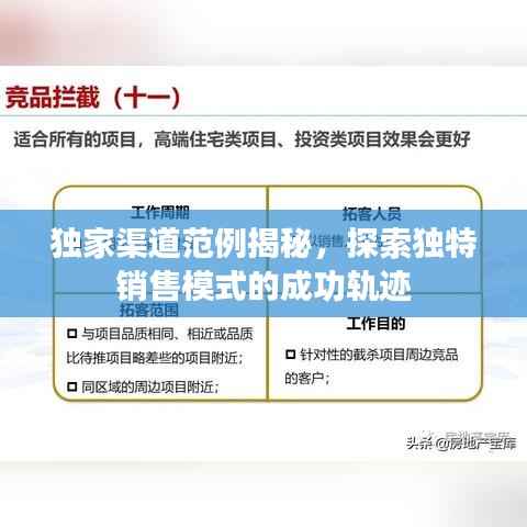 独家渠道范例揭秘，探索独特销售模式的成功轨迹