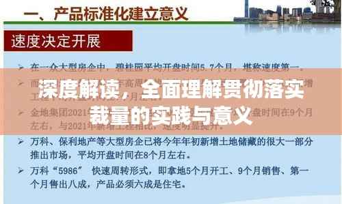 深度解读，全面理解贯彻落实裁量的实践与意义