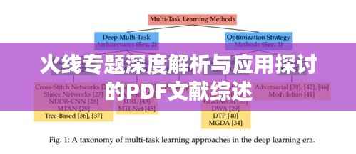 火线专题深度解析与应用探讨的PDF文献综述