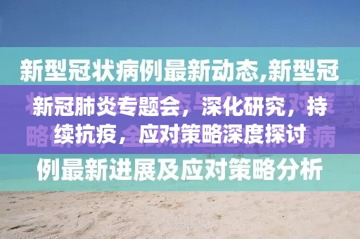 新冠肺炎专题会,深化研究,持续抗疫,应对策略深度探讨