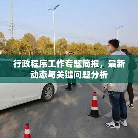 行政程序工作专题简报，最新动态与关键问题分析