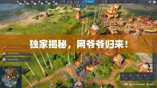 独家揭秘，网爷爷归来！