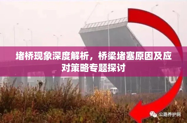 堵桥现象深度解析，桥梁堵塞原因及应对策略专题探讨