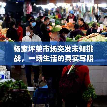 杨家坪菜市场突发未知挑战,一场生活的真实写照