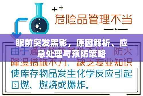 眼前突发黑影,原因解析、应急处理与预防策略